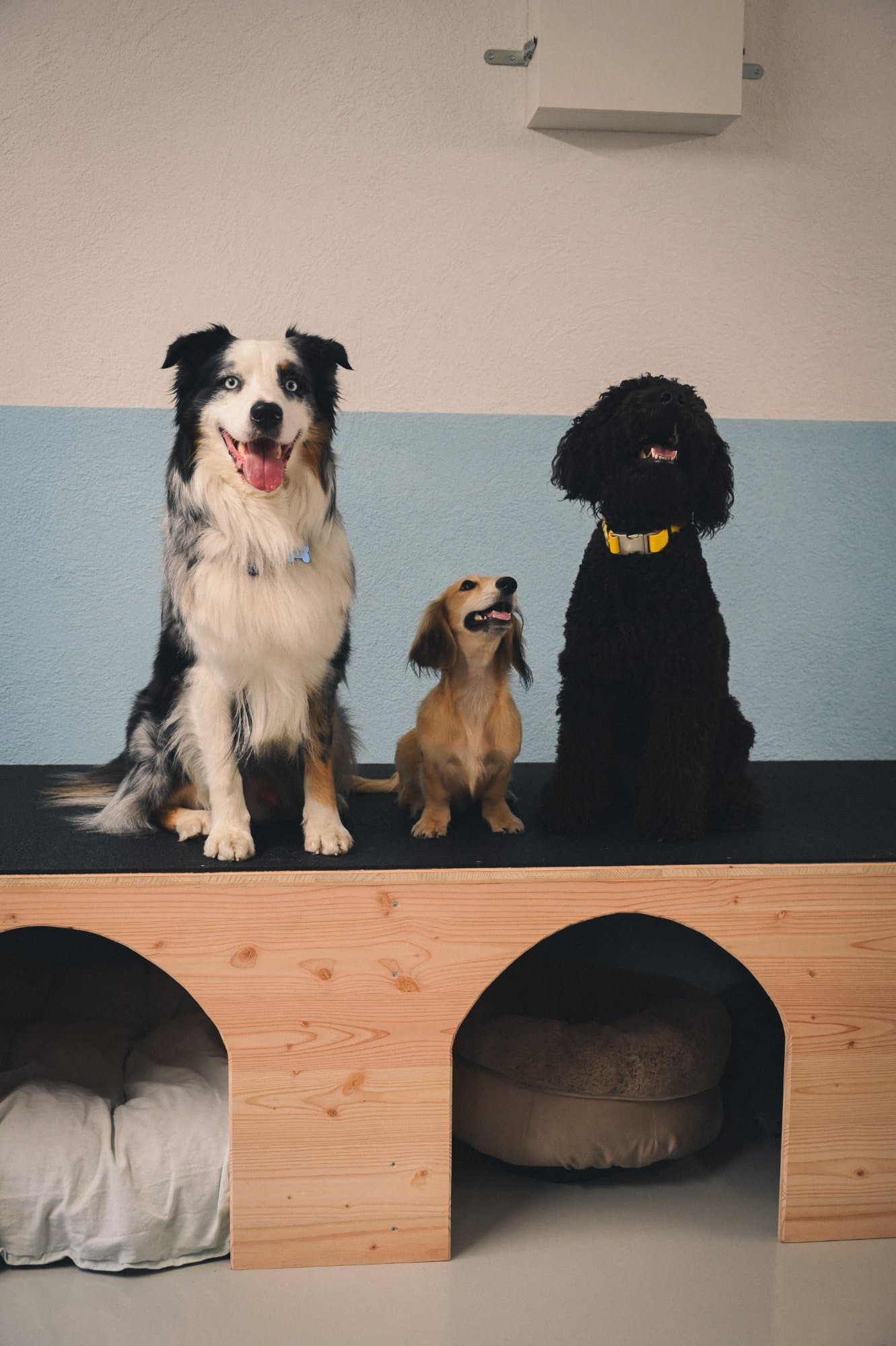 les copains à la garderie